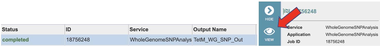 an image of how to view job results