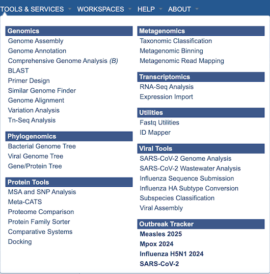 ../_images/bv_services_menu.png