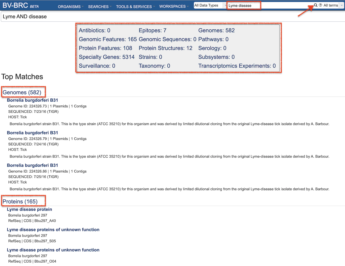 Global Search Results
