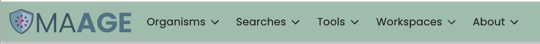 navigation bar